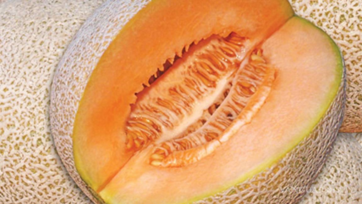 Obtienen el genoma del melón