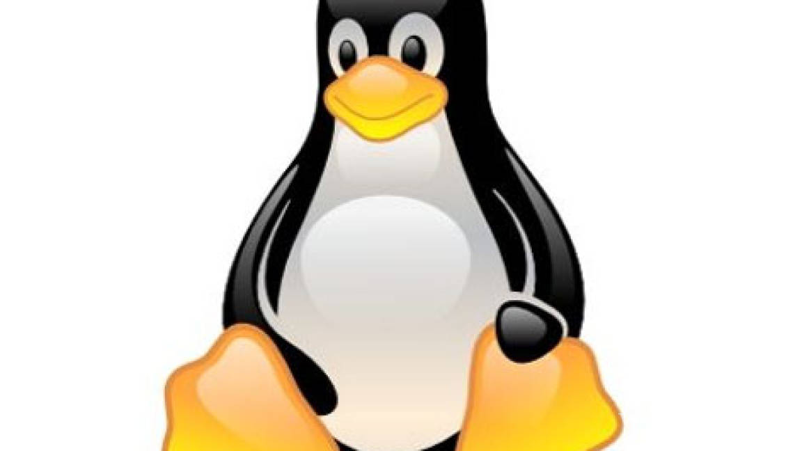 Linux está presente, silencioso pero con fuerza