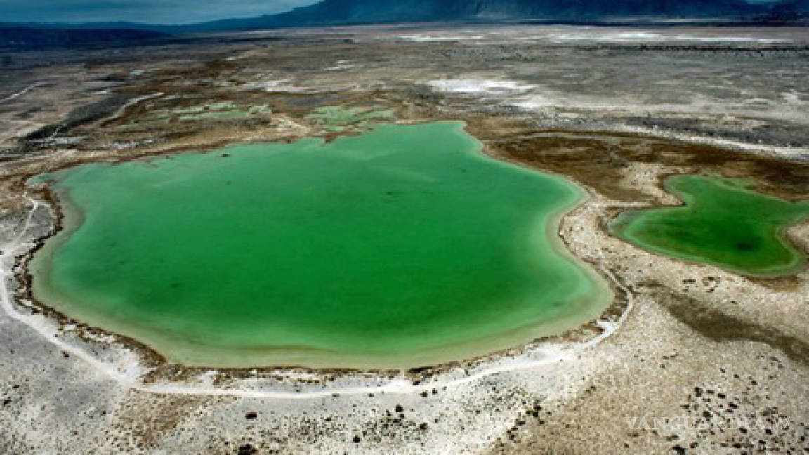 Protegerá Profepa ecosistema de Coahuila en riesgo de extinción