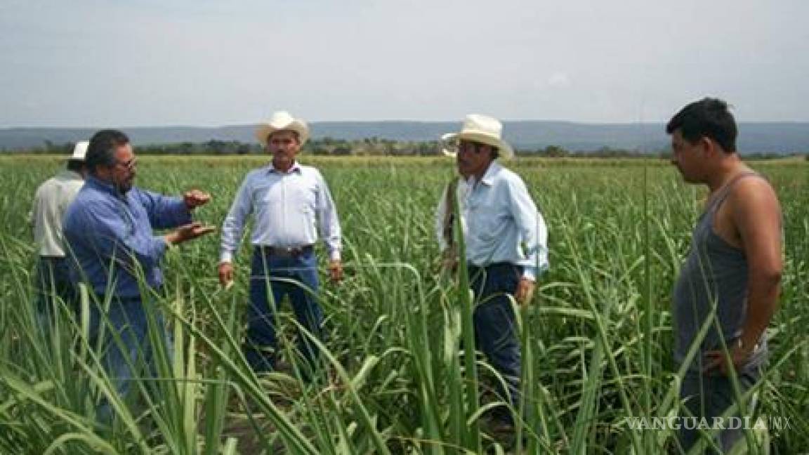 Calderón traicionó los ideales de la Revolución: campesinos