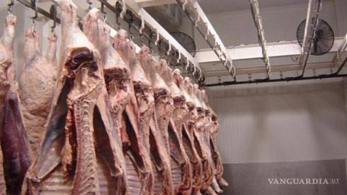 Carne contaminada con clembuterol, un grave riesgo