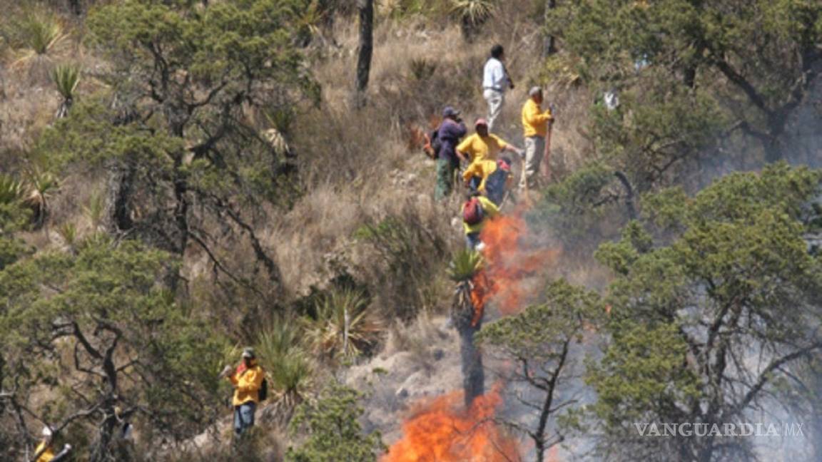 Reportan otro incendio en San Antonio de las Alazanas, Arteaga