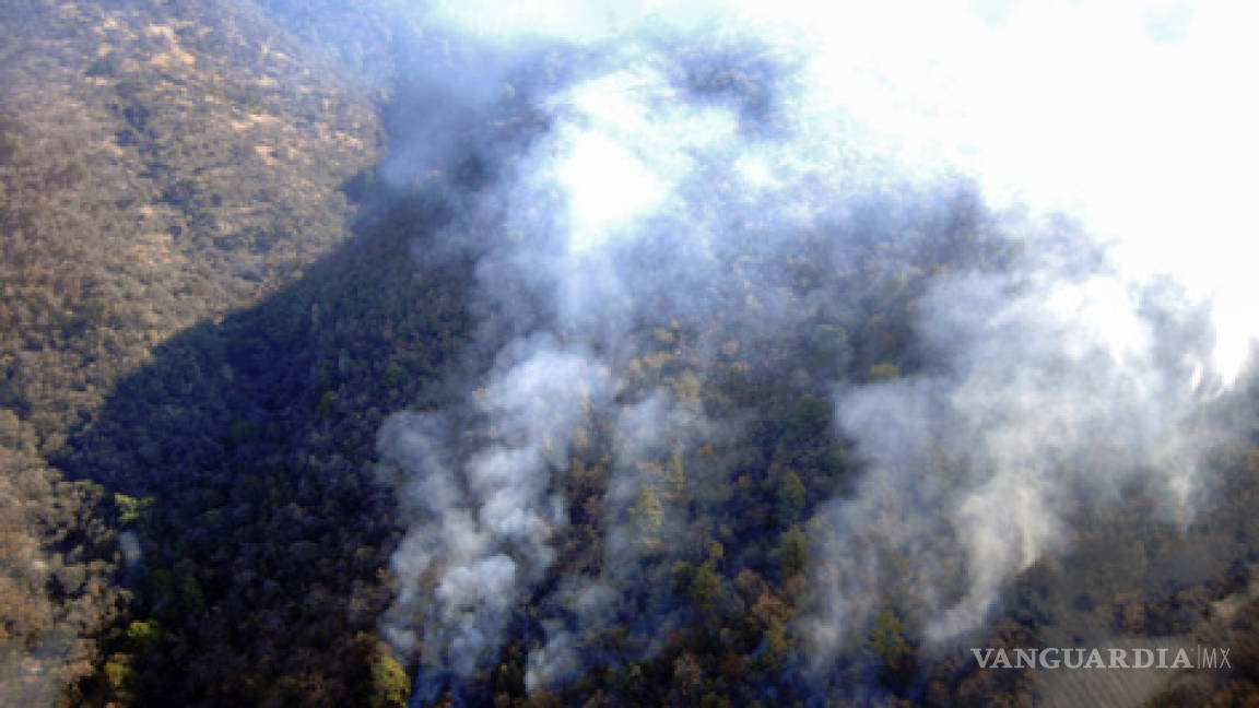 Evalúan daños por incendio en Torreón