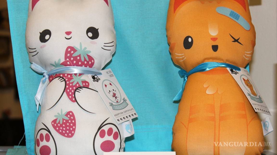 $!Gatos, los reyes de las redes sociales