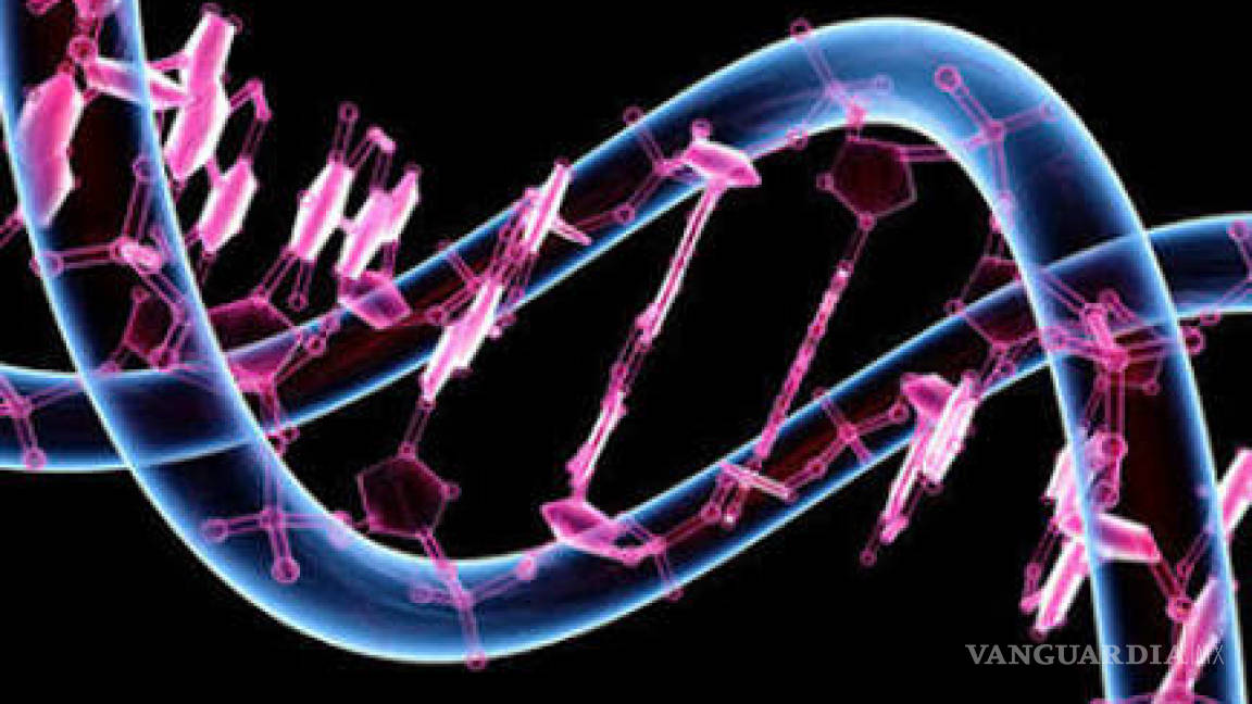 La doble hélice del ADN revolucionó a la biología