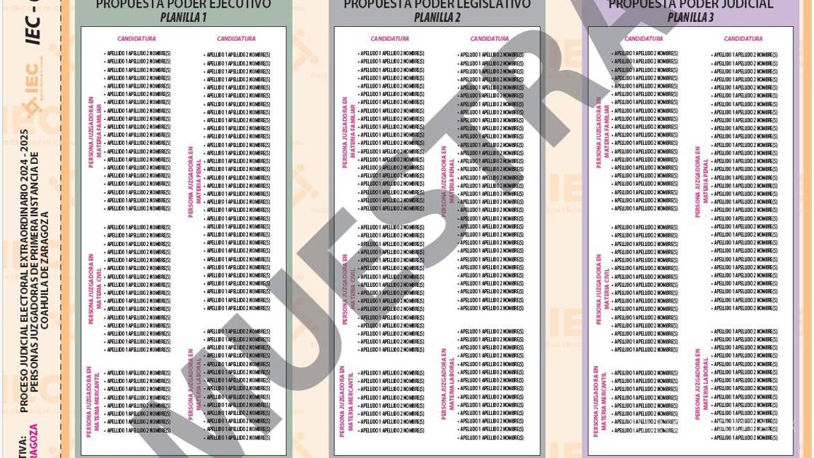 $!Para las personas juzgadoras de primera instancia se tendrá esta boleta.