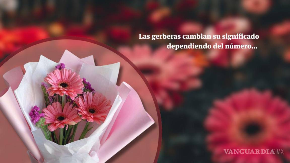 ¿Ya recibiste tus gerberas? Conoce el significado de estas flores que se viralizó en TikTok