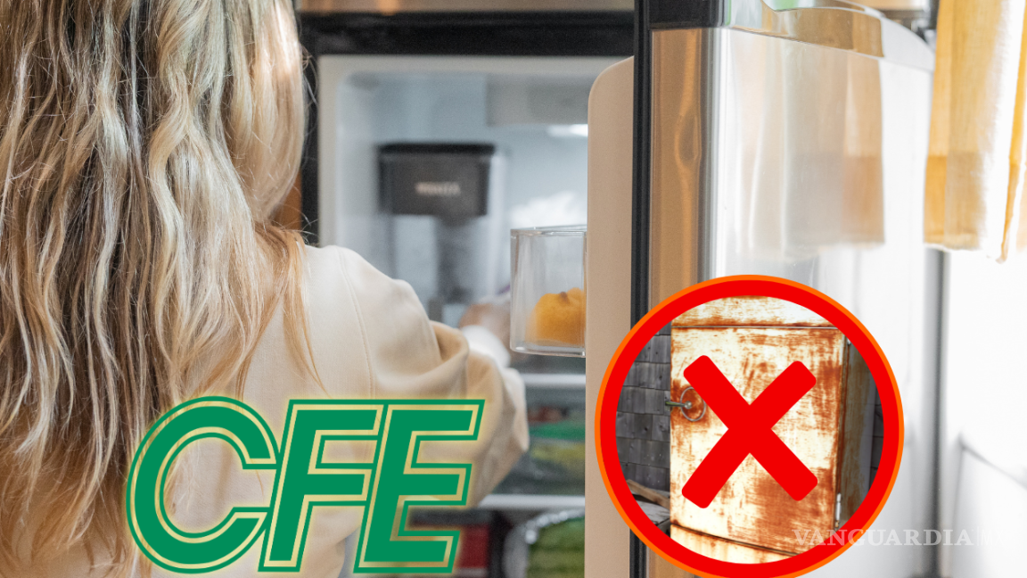CFE renueva tus electrodomésticos para que ahorres energía y dinero: ¡Adiós a los refrigeradores que no enfrían!