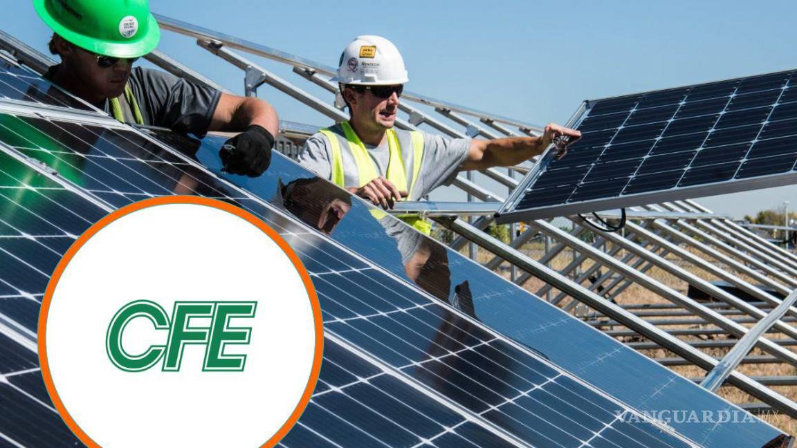 ¿Paneles solares para casa? Estos son los contratos que ofrece la CFE para ahorrar consumo eléctrico