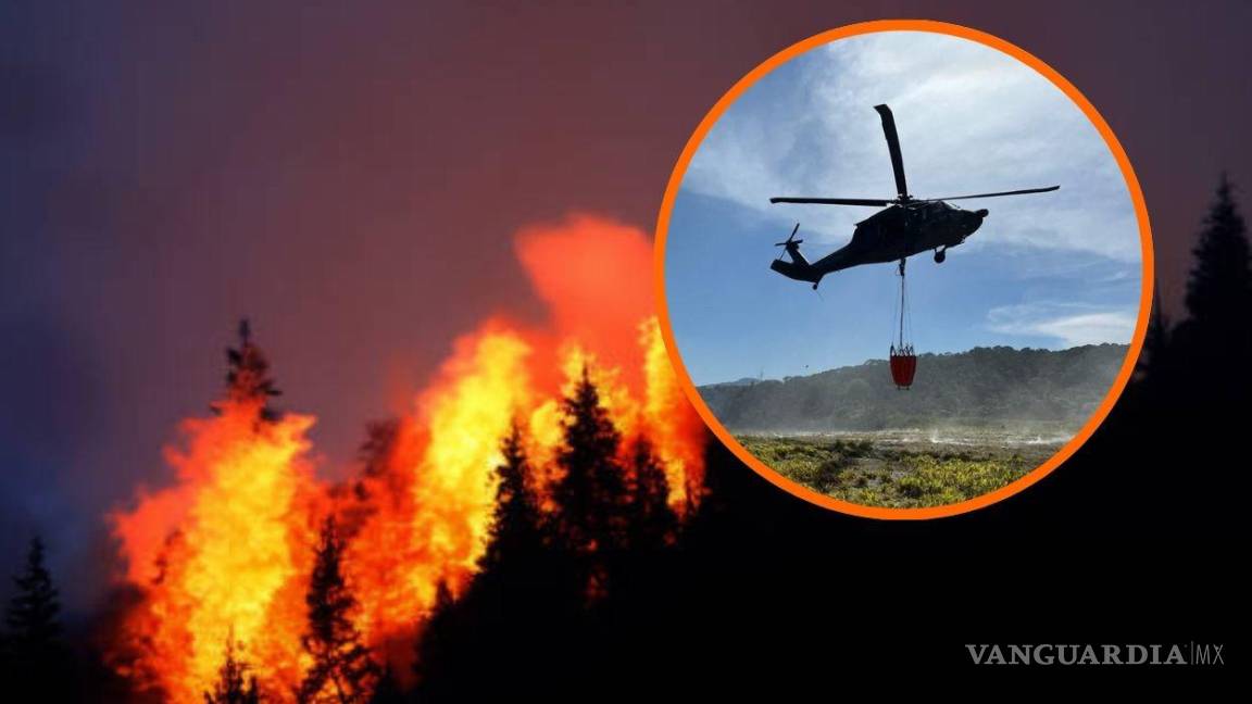 Presidente de Colombia, Gustavo Petro, pidió ayuda internacional para combatir incendios forestales
