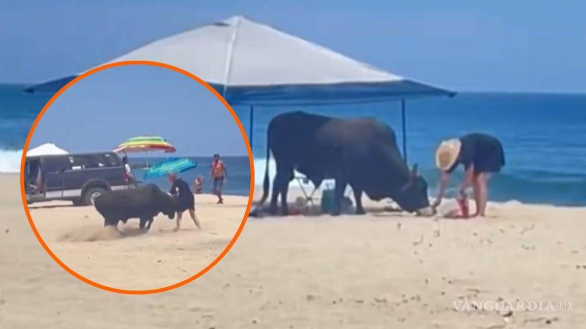 ¡Olé! Mujer fue embestida por un toro en Los Cabos, BCS (video)
