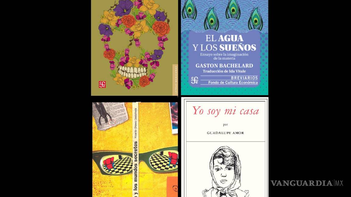 ¿Te gusta leer? Estos 4 libros atraparán tu atención