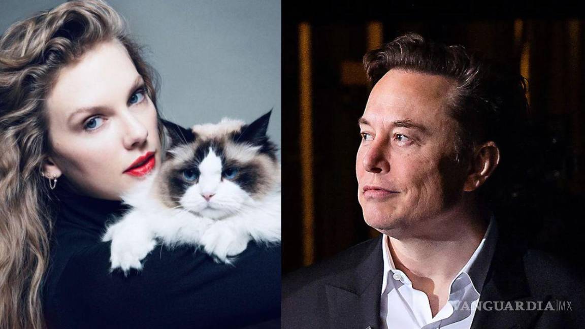 ‘Te daré un hijo y cuidaré de tus gatos’: Elon Musk responde a post de Taylor Swift por apoyar a Kamala Harris