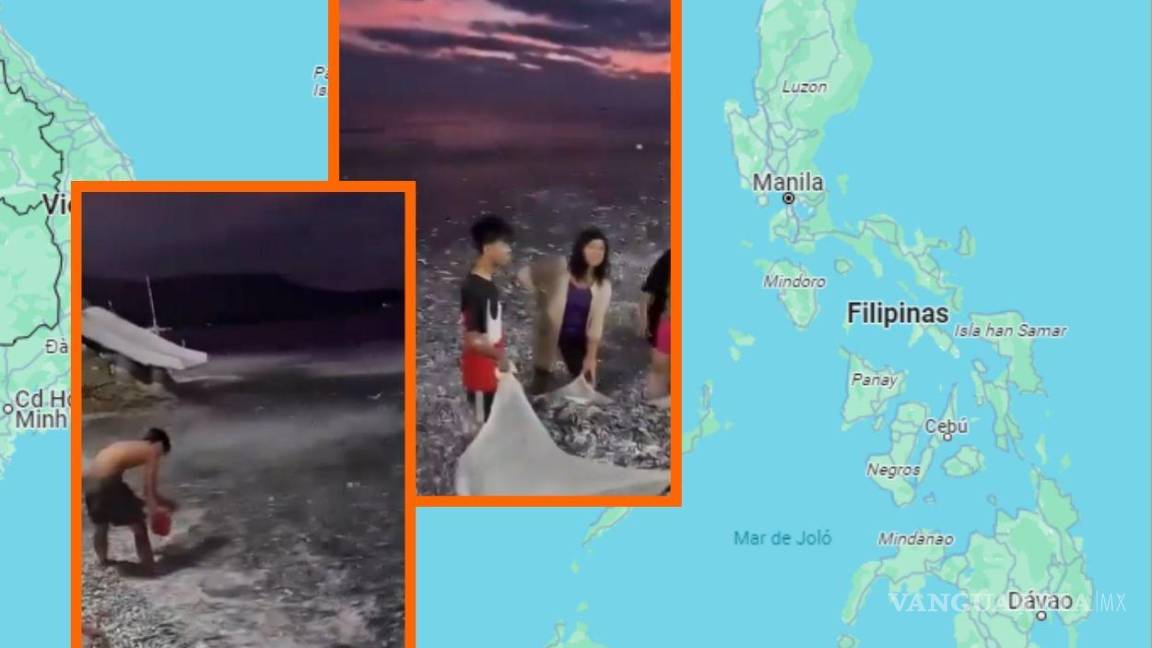 ¡Se salieron del agua! Peces advirtieron sobre terremoto en Filipinas