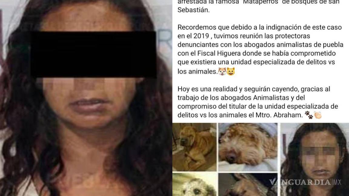 Arrestan a responsable de vender tacos de carne de perro en Puebla; piden pena máxima