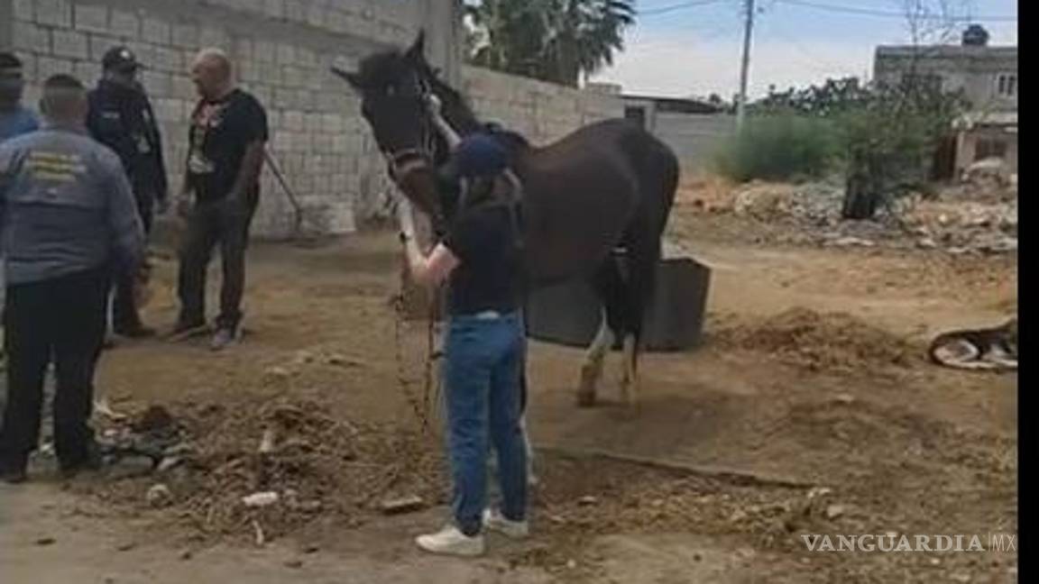 Rescatan activistas a caballo víctima de tortura en ejido de Torreón; otro está desaparecido