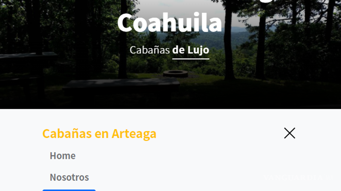 $!El sitio Arteaga Bosque dispone de diversas ofertas, según su página principal.