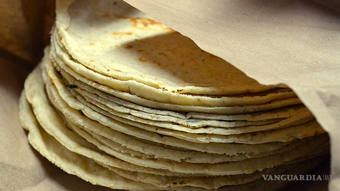 ¿‘Tortillazo’ a la vista?, sequía pegará al precio