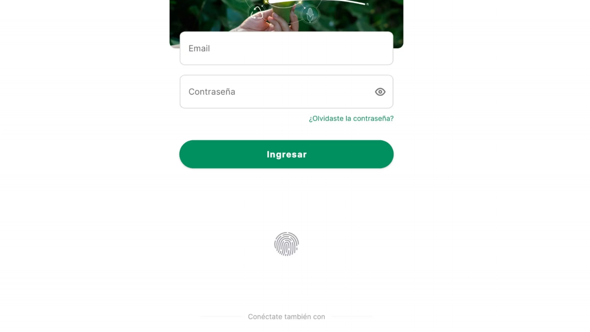 $!Ahora podrás consultar, y pagar, tu consumo a través de la app o en su sitio oficial