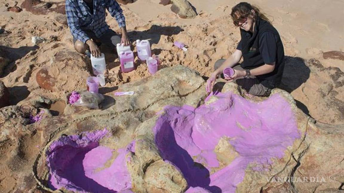 Descubren las huellas de dinosaurio más grandes de la historia