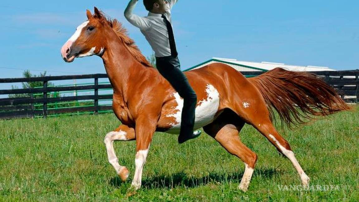 $!¿Recuerdan la foto de Macron festejando un gol de Francia? El internet se encargó de 'tunearla'