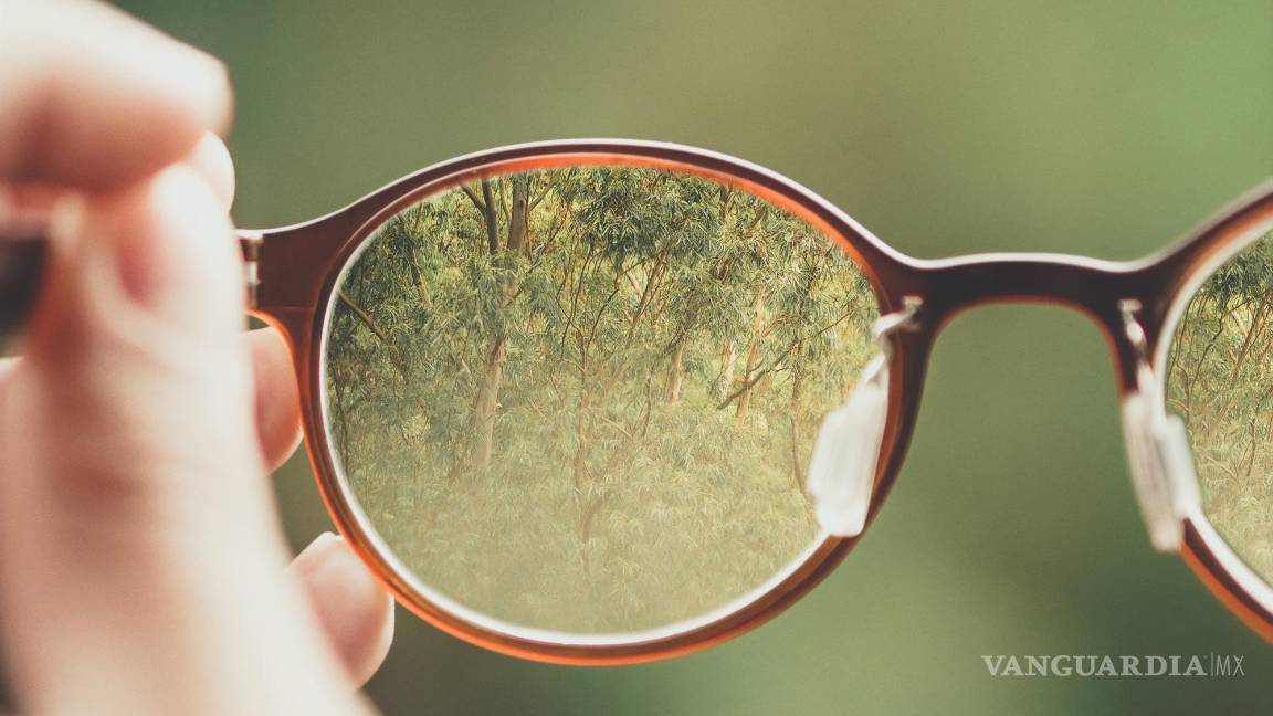 $!Algunas investigaciones (la mayoría centradas en niños) sugieren que pasar tiempo al aire libre reduce el riesgo de desarrollar miopía.