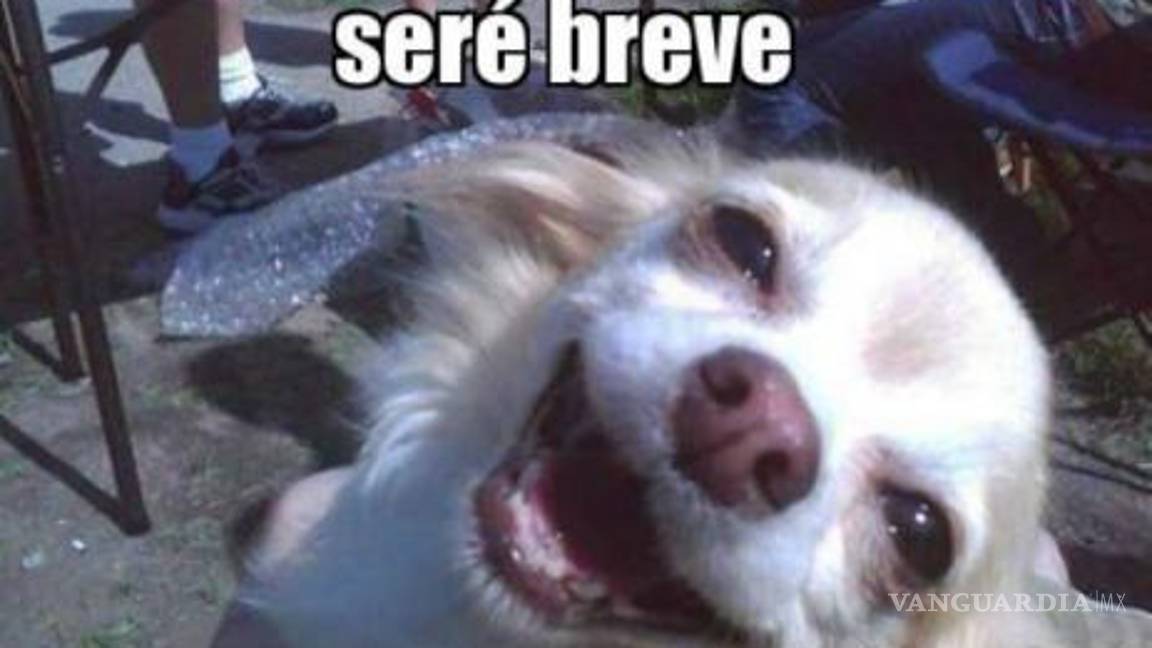 $!Los Reyes Magos llegan para traer los mejores memes