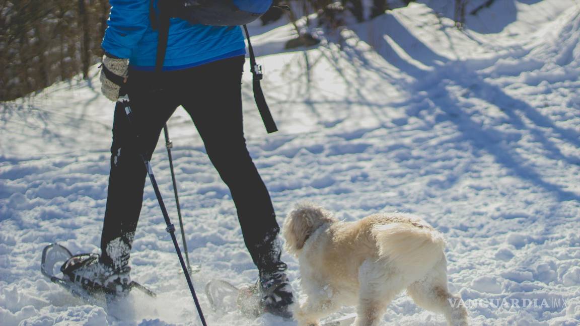 $!Si tienes que salir, protégete de los riesgos asociados a las condiciones heladas.