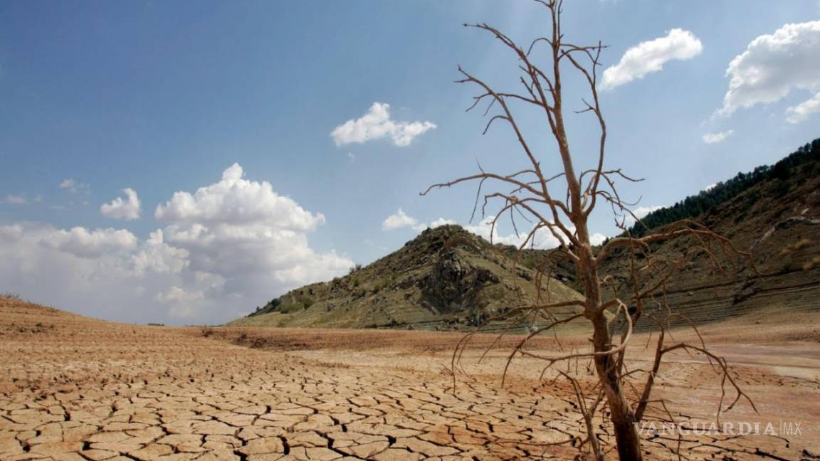 Celebran en Saltillo el Día Mundial de la Desertificación