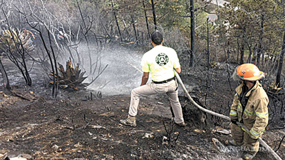 Fuego forestal casi llega a cabañas de la Sierra de Arteaga