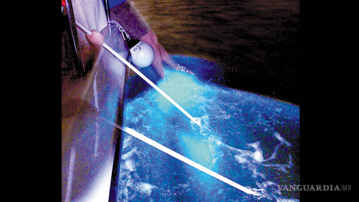 $!Puerto Rico y sus bahías bioluminiscentes