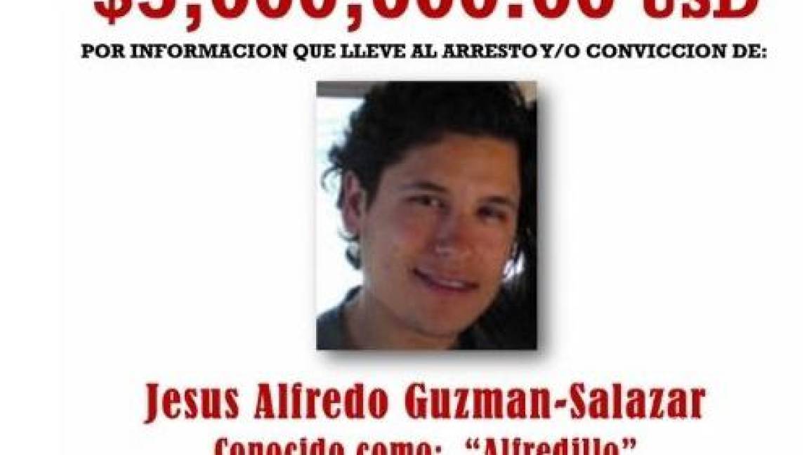 EU ofrece 10 mdd por el ‘Alfredillo’ Guzmán, hijo del ‘Chapo’