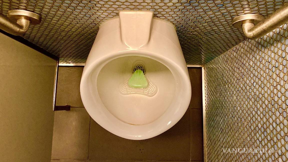 $!Se tiene la idea de que son las más sucias, pero la realidad es que las que deben tener más atención son aquellas que están hechas de telas.