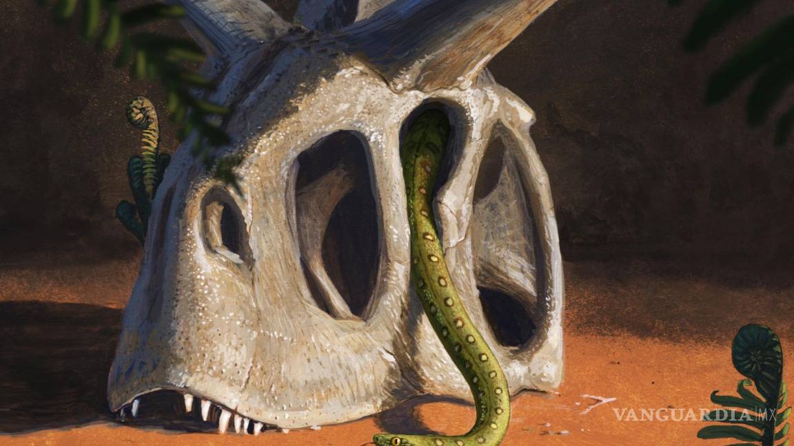 Asteroide que extinguió a los dinosaurios hace 66 millones de año dio vida a las serpientes