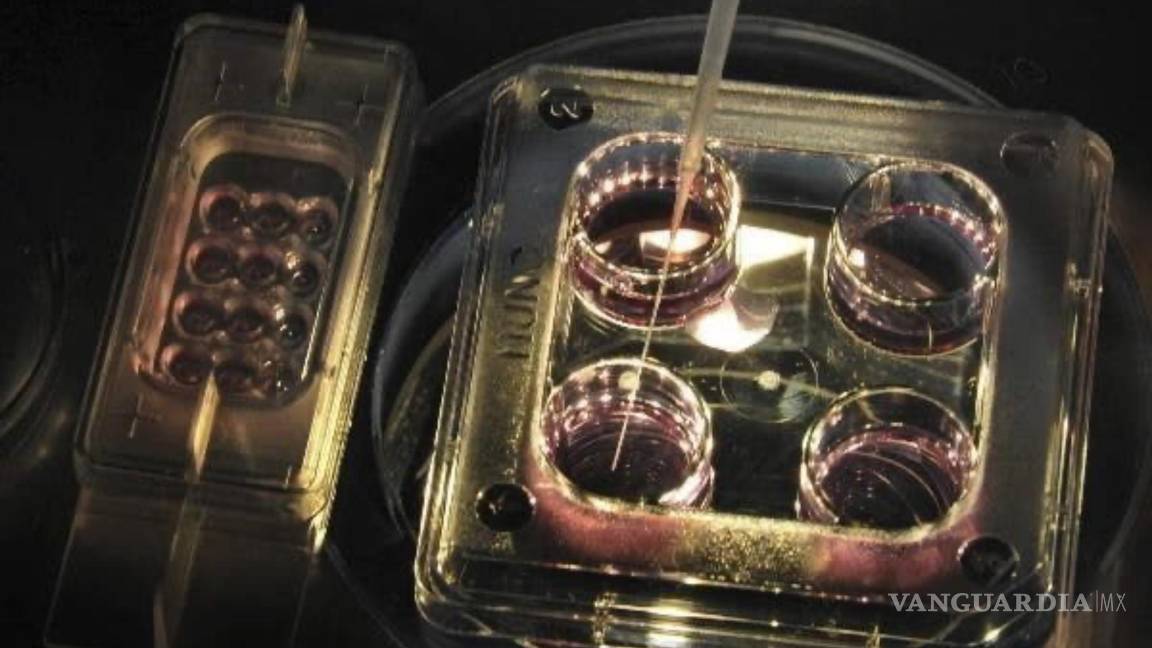 $!Nace el primer bebé del mundo con ADN de tres padres.