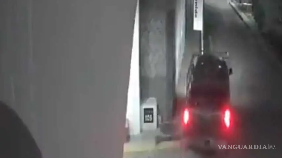 (video) Con alevosía, un conductor atropelló a perros en Puebla, uno murió; ya lo buscan