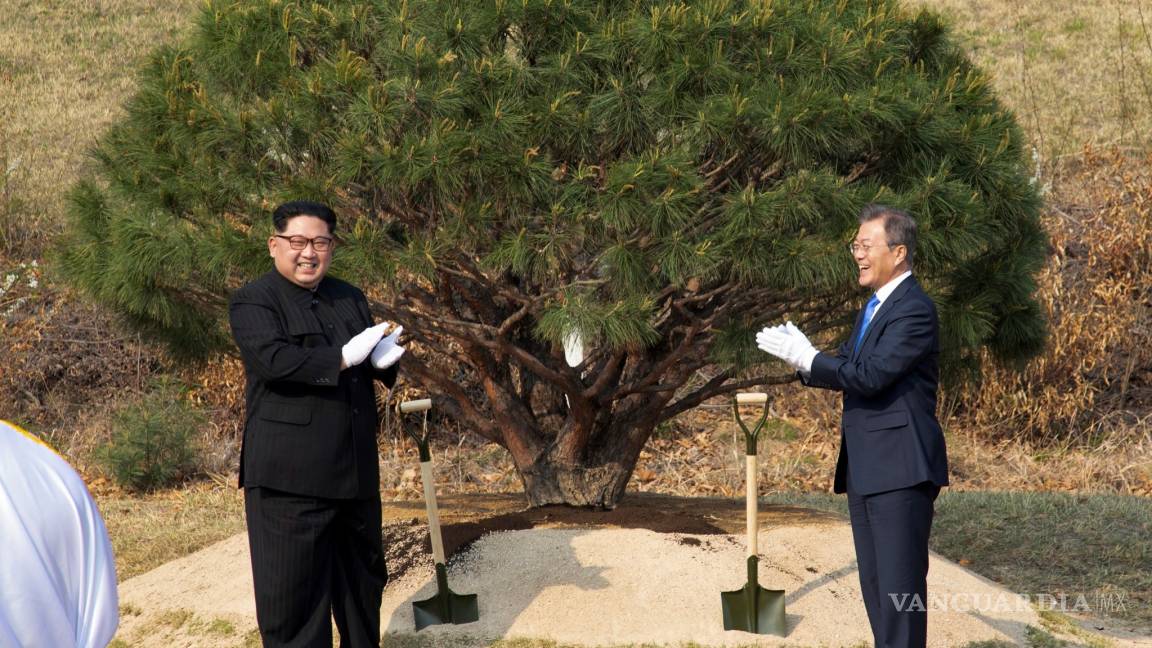 Kim Jong-un y Moon Jae-in plantan un árbol en una simbólica ceremonia