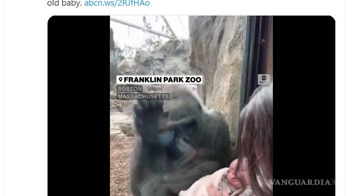 $!Los lazos interespecies se mostraron con la reacción de Kiki al ver al pequeño Canyon.