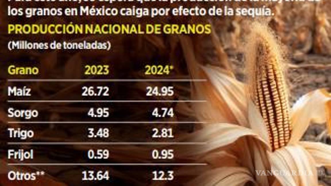 $!Causa sequía pérdidas de 6 mil pesos por hectárea en el campo mexicano