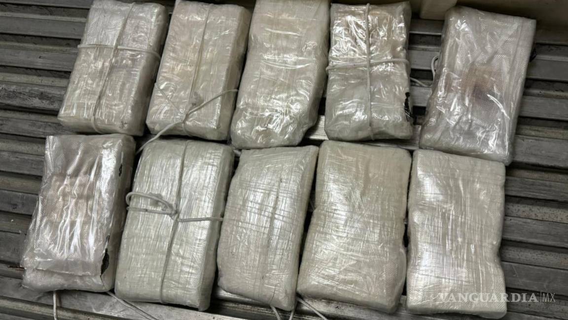 Detienen en Nuevo León a hombre con cargamento de cocaína