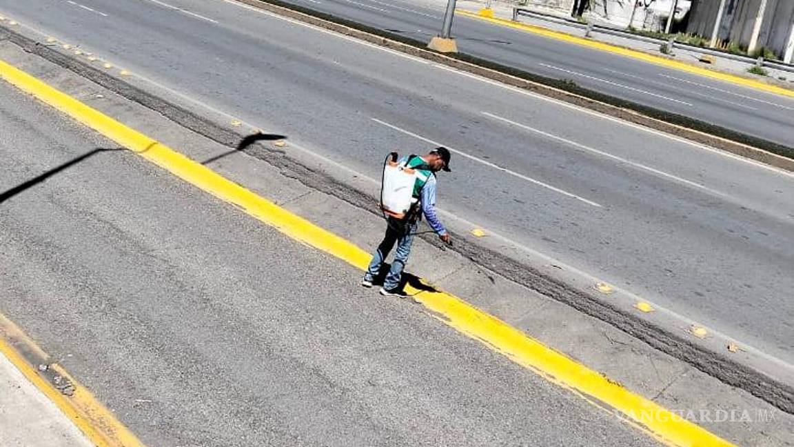 $!Además de las labores en la vía pública, se llevaron a cabo trabajos de pintura y adecuación en espacios de la Presidencia Municipal, con el fin de optimizar la atención ciudadana.