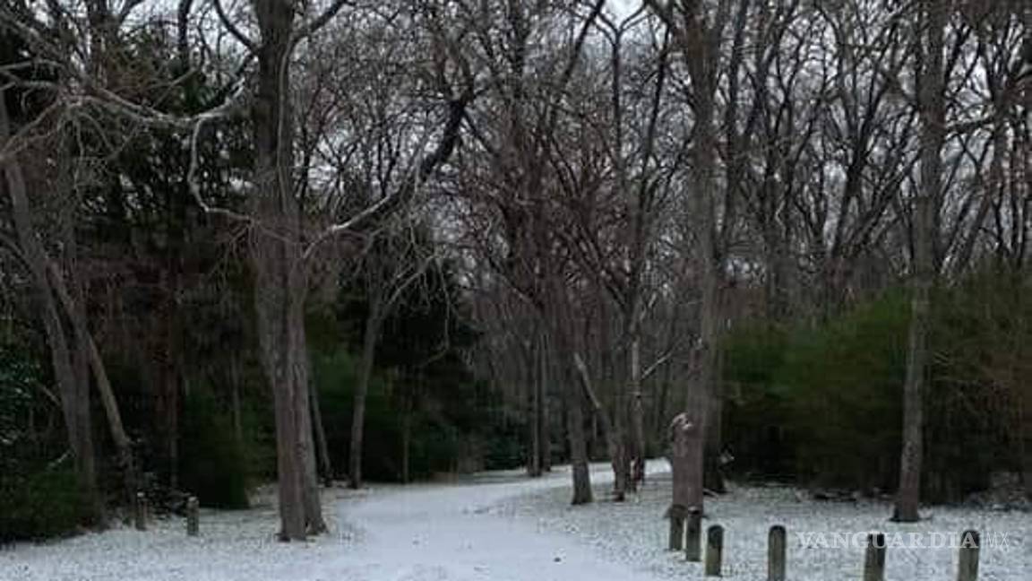 $!Frente Frío 27 deja aguanieve y apagones en Nuevo León