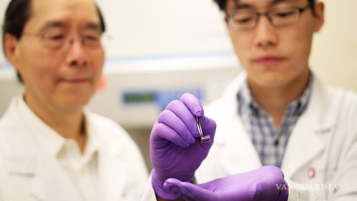 $!Chip regenerativo, revoluciona la medicina