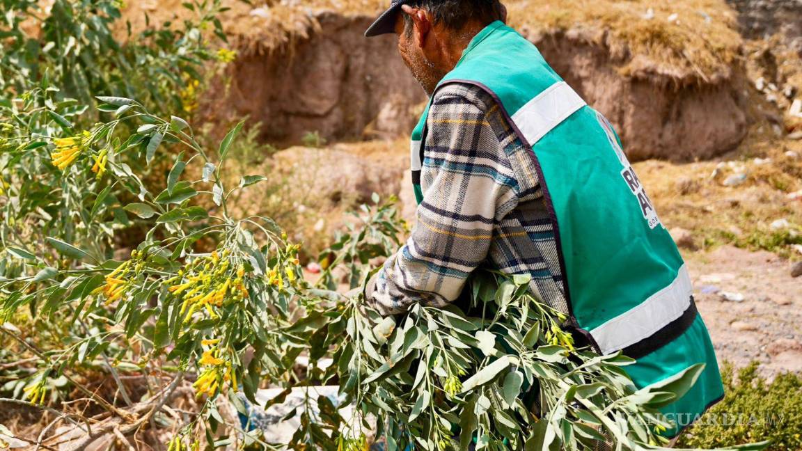 $!Brigadas municipales realizaron limpieza y mantenimiento en plazas de Ramos Arizpe.