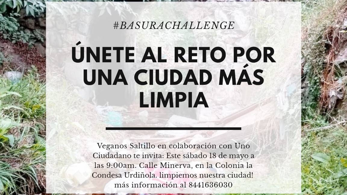 $!Con el #BasuraChallenge en Saltillo convocan a limpiar una parte del arroyo Agua Azul