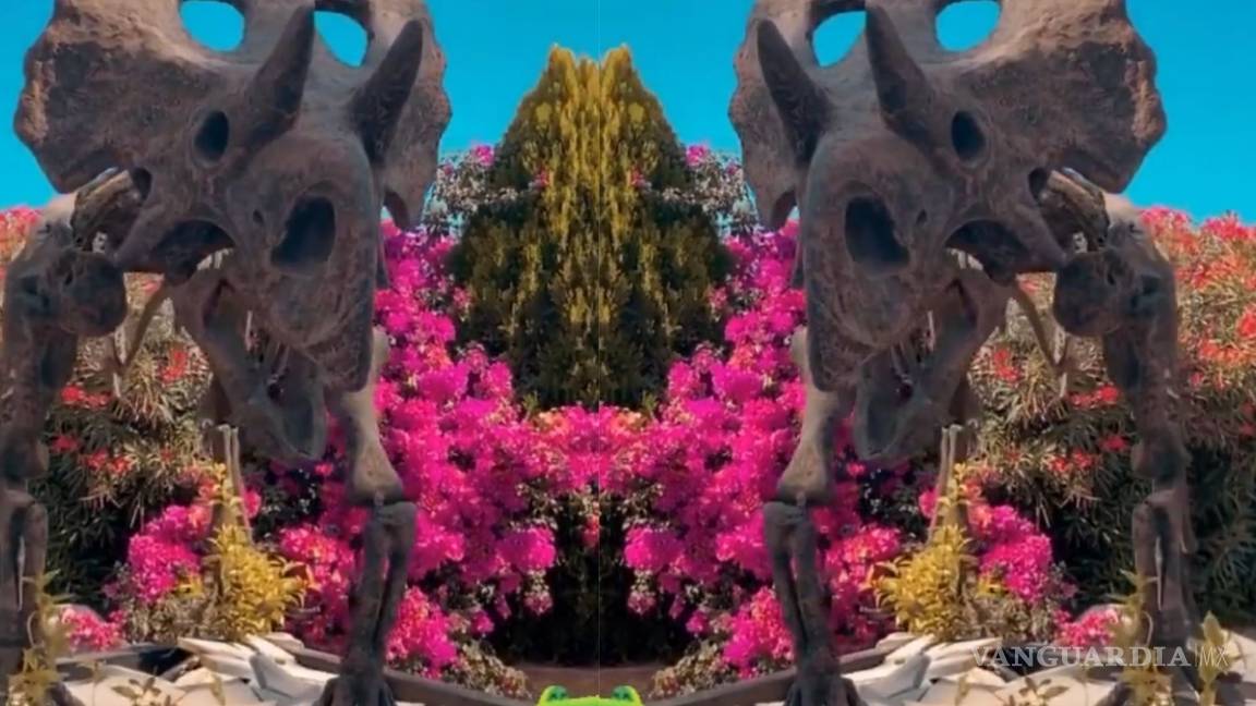 $!Belinda se escapa a Coahuila con su familia y comparte momentos épicos en Instagram