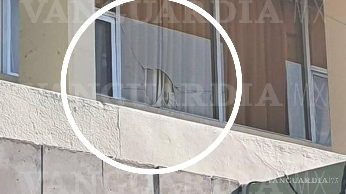 $!Quiebran vidrio de clínica del IMSS en Saltillo para ‘rescatar’ a paciente COVID-19