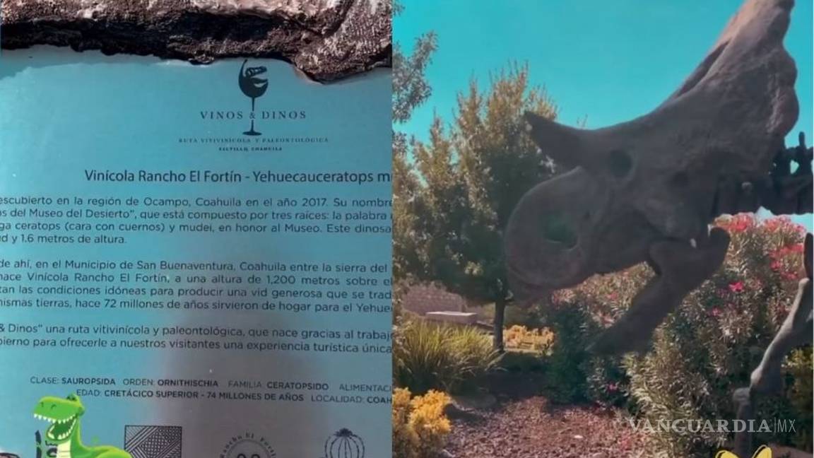 $!Belinda se escapa a Coahuila con su familia y comparte momentos épicos en Instagram