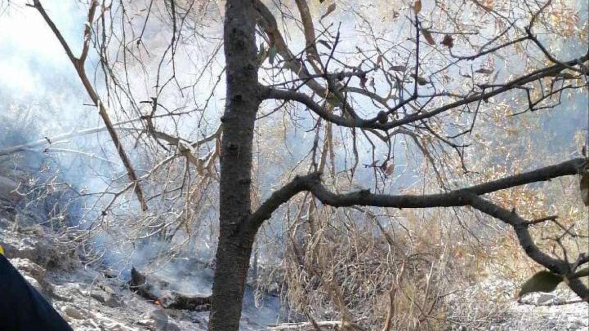 Saltillo: combaten incendio en Sierra de Zapalinamé, habría sido provocado