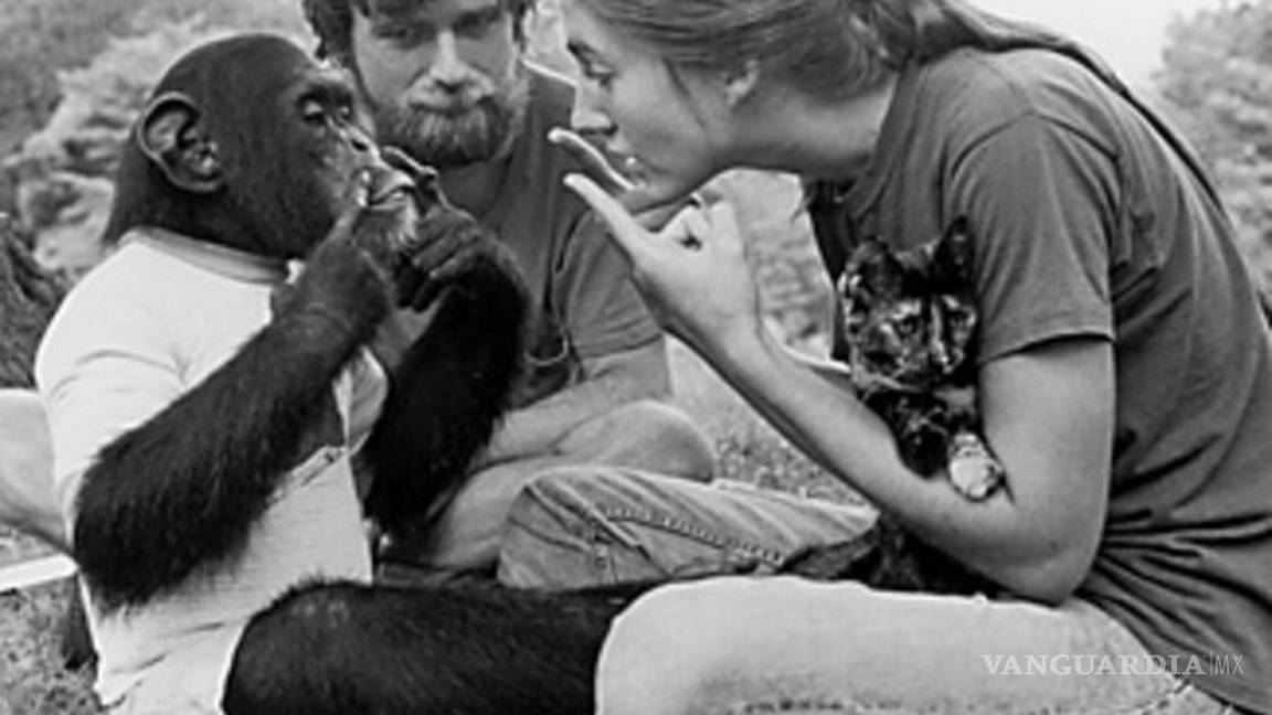 $!Estos son los animales que han contribuido en la historia de la ciencia